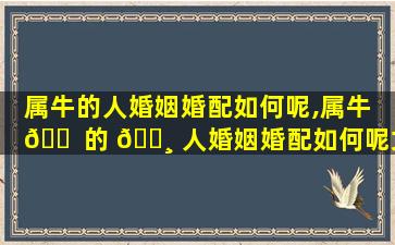 属牛的人婚姻婚配如何呢,属牛 🐠 的 🌸 人婚姻婚配如何呢女生